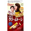 HOYU Bigen Cream Tone Gray Coverage Hair Color (Chestnut Brown)