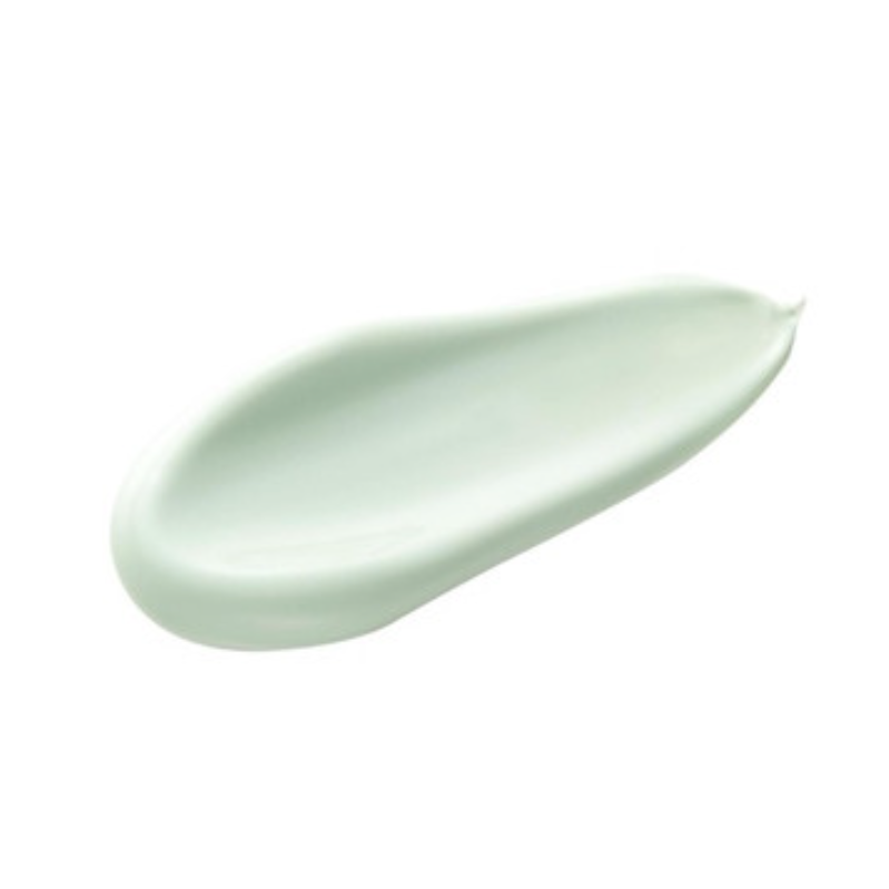 Kanebo Media Make Up Base