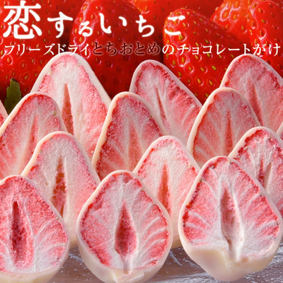 Shizuka Freeze Dried White Chocolate Tochiotome Strawberries (Best Before 2026/7/19)