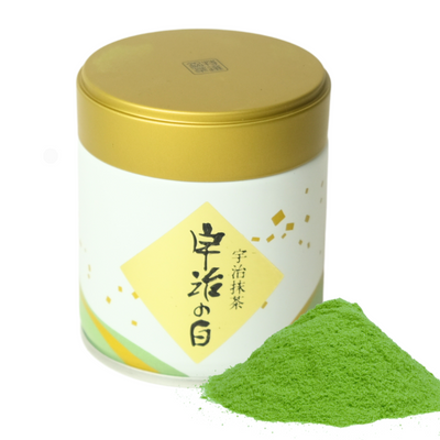 Yano Seichajo Uji no Shiro Matcha Powder