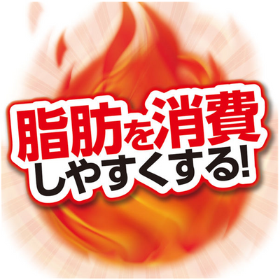 Kobayashi Naishi Help Visceral Fat Burner
