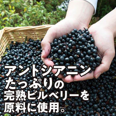Kobayashi Bilberry Extract