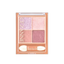 CEZANNE Beige Tone Eyeshadow
