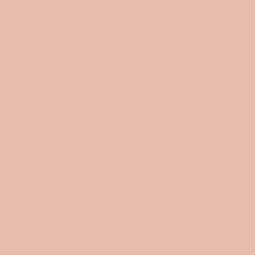 CANMAKE Perfect Serum BB Cream (No 1: Light)