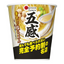 Japanese Ramen Gokan Golden Salt Ramen