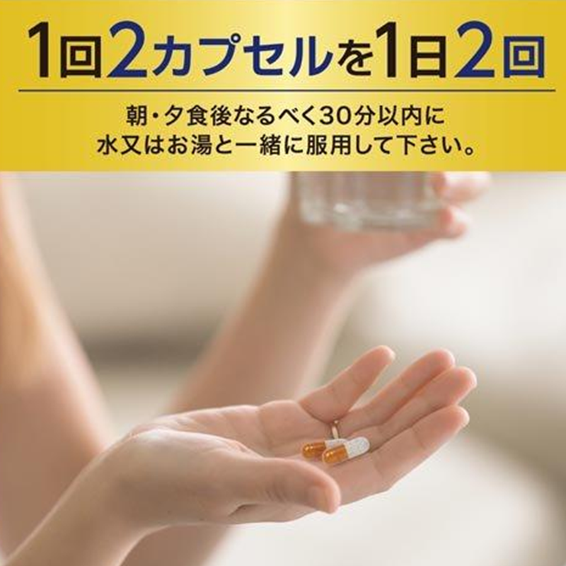 Haleon Japan New Contac Cold EX Slow-Release Comprehensive Cold Medicine