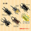 Santan Build-a-Beetle Bath Bomb