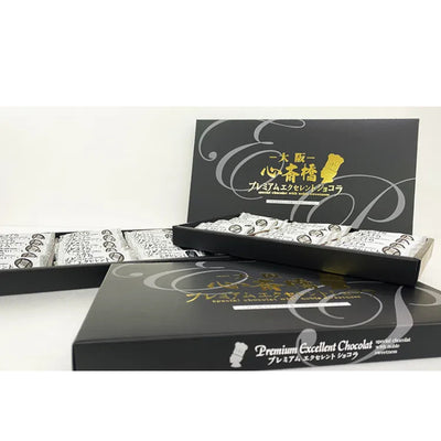 Hojo Seika Osaka Shinsaibashi Premium Excellent Chocolat Cake (12)