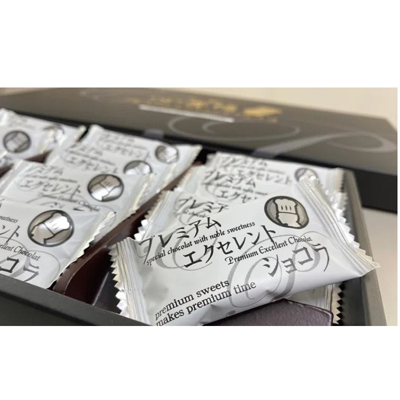 Hojo Seika Osaka Shinsaibashi Premium Excellent Chocolat Cake (12)