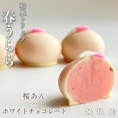 Sakaneya Haru Urara White Chocolate Covered Sakura Flavored Bean Paste Truffles (3 pieces)