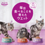 Kal kan Cat Food with Tuna, Katsuo, Salmon & Shrimp