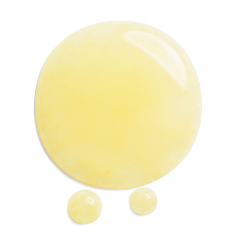 Shiseido Benefique Wrinkle Smoothing Control Serum