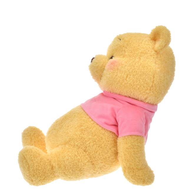 Tokyo Disney Day Dream Series Doll [Mickey/Winnie the Pooh]
