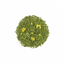 Kimikura Earl Grey Sencha Green Tea