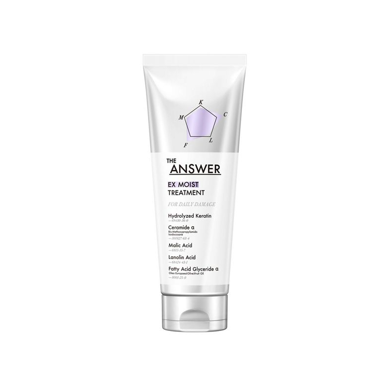 THE ANSWER EX Moist Treatment (Conditioner) for Daily Damage