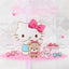 Sanrio Hello Kitty Cosmetics Organizer
