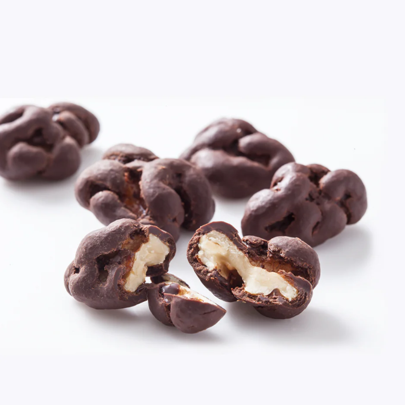 CHEESE GARDEN Chocolate Covered Nuts (Assorted Flavors Available)