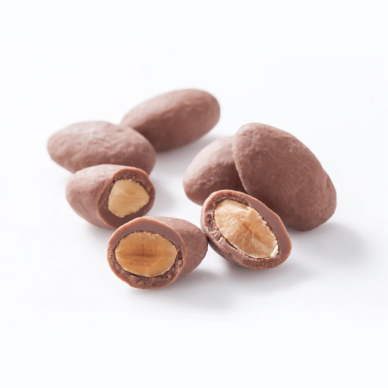 CHEESE GARDEN Chocolate Covered Nuts (Assorted Flavors Available)