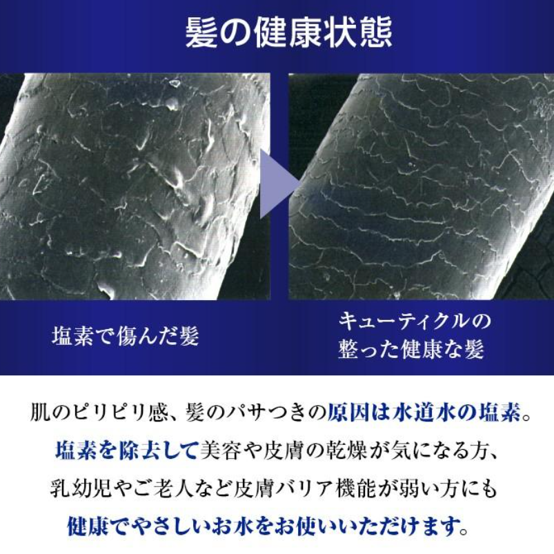 Takagi “Kimochi-ii” Shower Purification Capsules (2-Pack) – Model JSC003