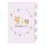 San-X Rilakkuma File Folder