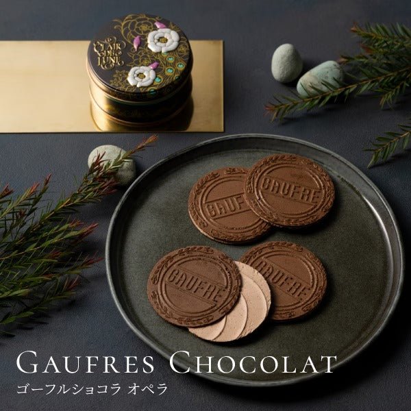 Kobe Fugetsudo Opera Cake Gaufres Chocolat Cookies