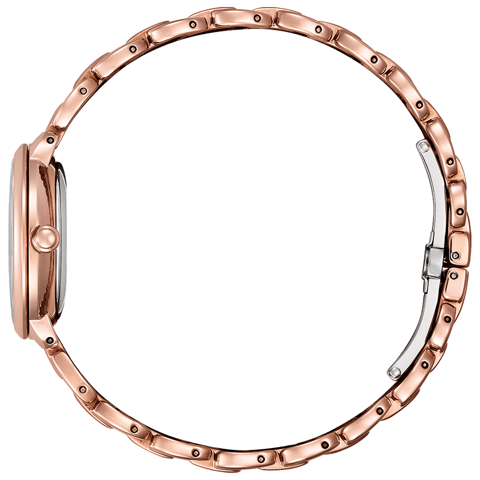 CITIZEN ROUND Collection Silver/Gold EM0927-87Y/EM0928-84D