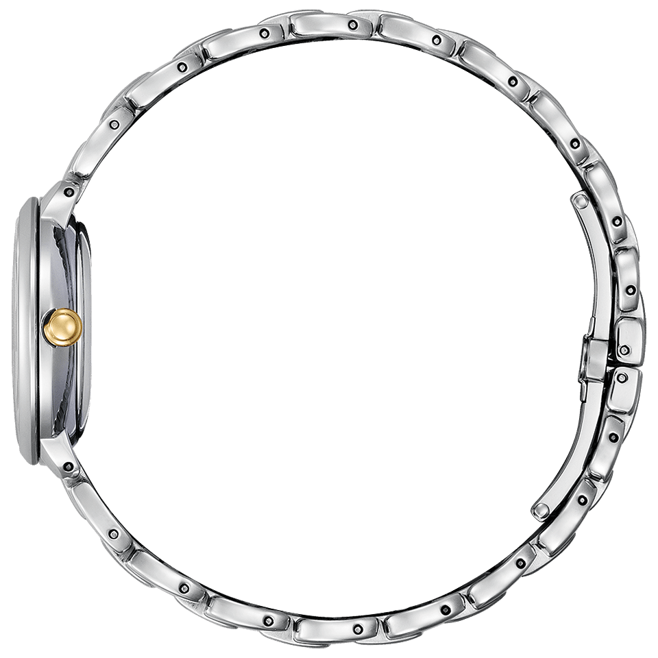 CITIZEN ROUND Collection Silver/Gold EM0927-87Y/EM0928-84D