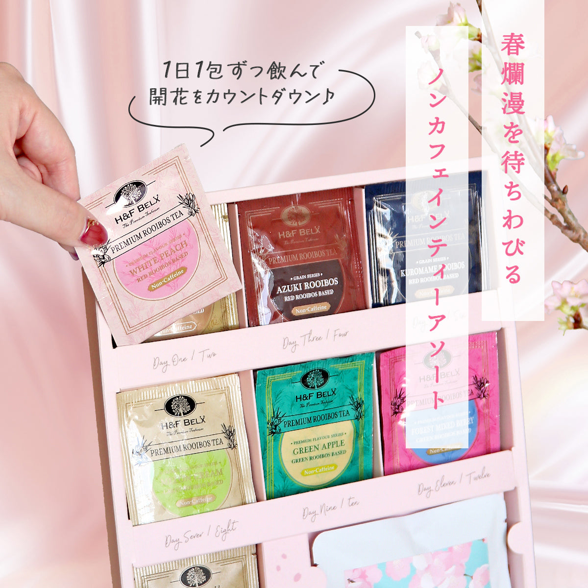 H&F BELX Sakura Wakuwaku Countdown Rooibos Tea Assortment