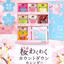 H&F BELX Sakura Wakuwaku Countdown Rooibos Tea Assortment