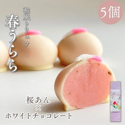 Sakaneya Haru Urara White Chocolate Covered Sakura Flavored Bean Paste Truffles (5 pieces)