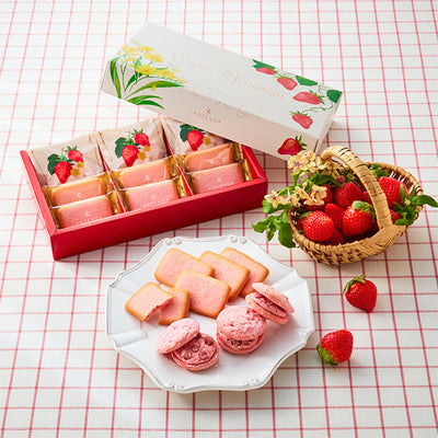 Antenor Spring Limited Edition Strawberry Cream Sandwich and Langue de chat Cookies