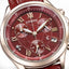 PREORDER CITIZEN Basic Collection Limited Model Watch FB1405-15W