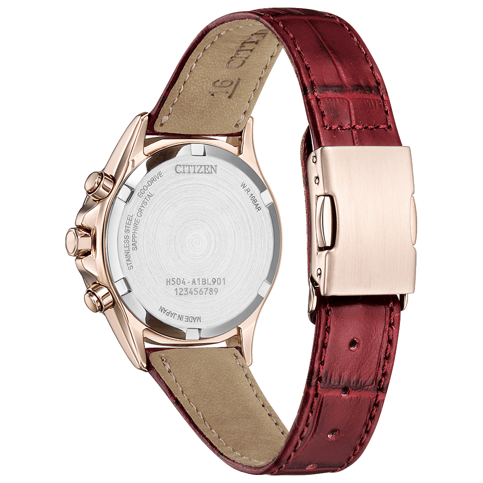 PREORDER CITIZEN Basic Collection Limited Model Watch FB1405-15W