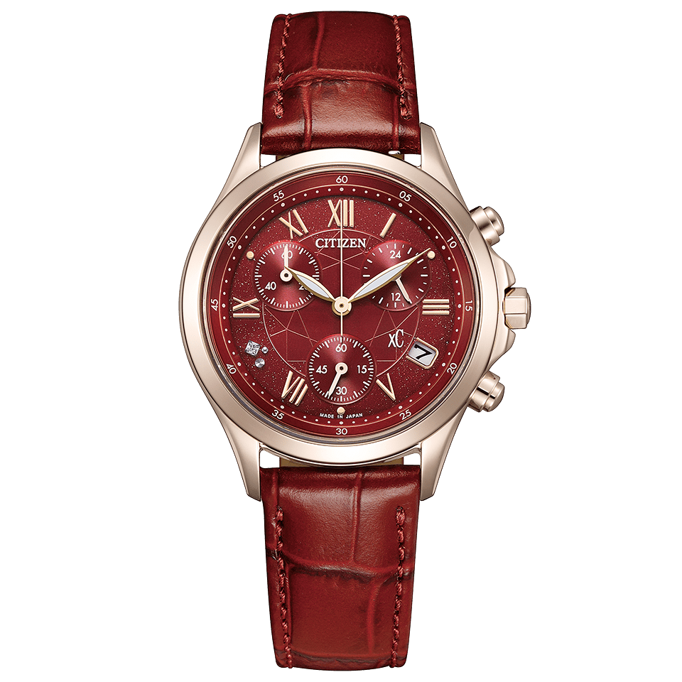 PREORDER CITIZEN Basic Collection Limited Model Watch FB1405-15W