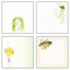 Green Flash - Memo Pads with Illustrations by Chihiro Iwasaki