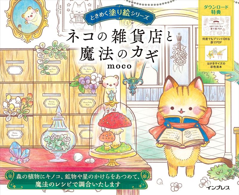 PREORDER The Cat’s General Store and the Magic Key