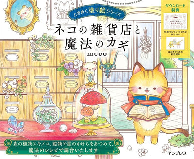 PREORDER The Cat’s General Store and the Magic Key