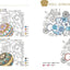 PREORDER Disney for Adults: A Modern Coloring Lesson Book