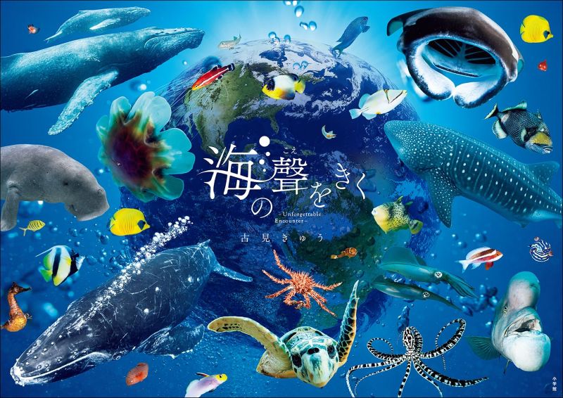 PREORDER Hearing the Sea's Voice: An Unforgettable Encounter