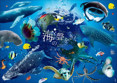 PREORDER Hearing the Sea's Voice: An Unforgettable Encounter