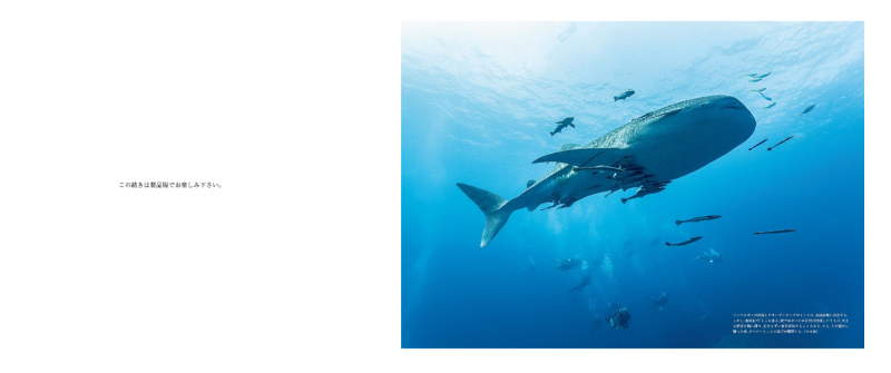 PREORDER Hearing the Sea's Voice: An Unforgettable Encounter