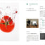 PREORDER Food & Dessert Photography Ideas: Shoot Beautiful Images in Small Spaces and Less Time