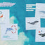 PREORDER Sea Creatures Made with Embroidery