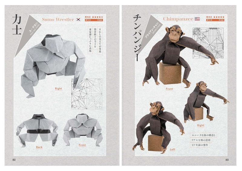 PREORDER Origami Inside Out Premium Book