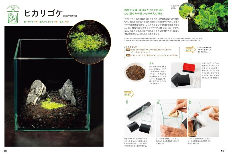 PREORDER Creating and Enjoying Tiny Moss Forests Indoors