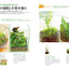 PREORDER Creating and Enjoying Tiny Moss Forests Indoors