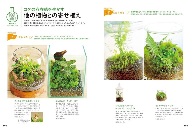 PREORDER Creating and Enjoying Tiny Moss Forests Indoors