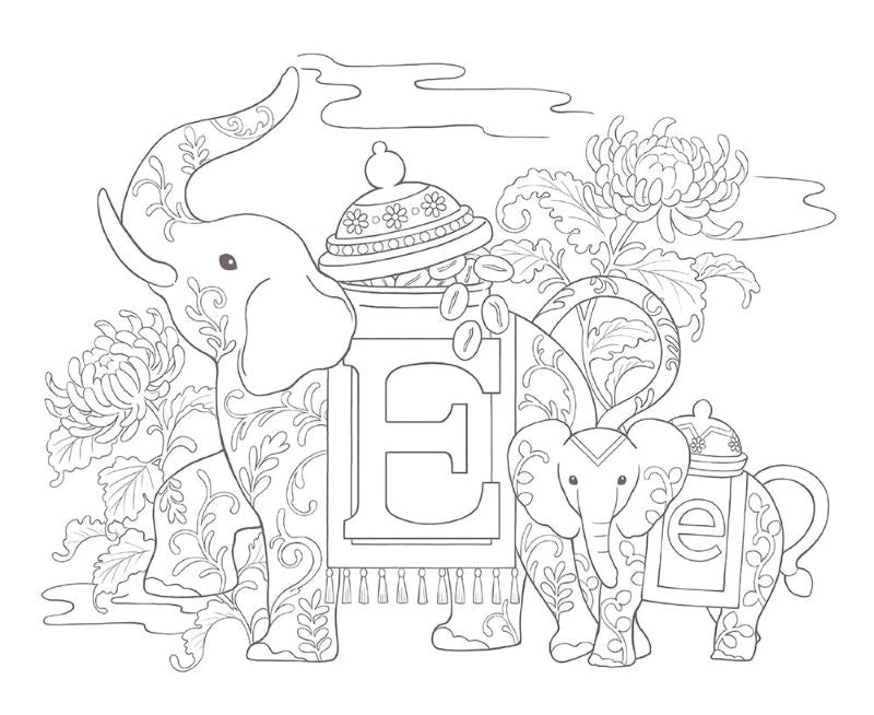PREORDER ABC Animals and World of A to Z Coloring Book