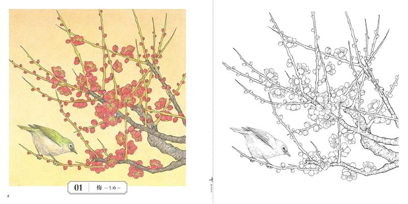 PREORDER Flower Coloring Book: The Beauty of Japan's Four Seasons