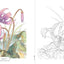 PREORDER Flower Coloring Book: The Beauty of Japan's Four Seasons